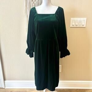 Ivy City Co. Green Velvet Ruffle Sleeve Dress Size XL